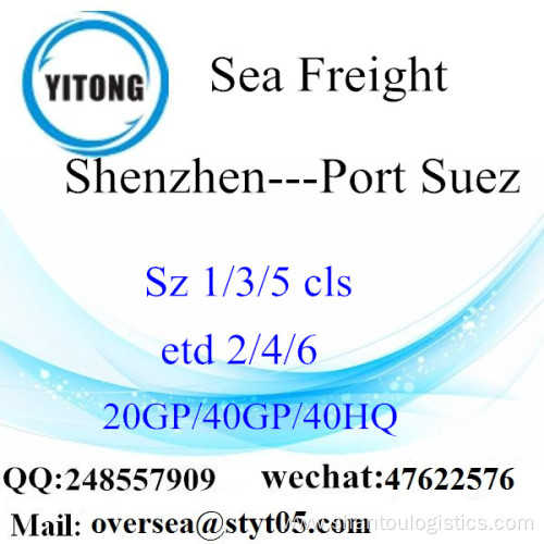 Shenzhen Port Sea Freight Shipping To Port Suez